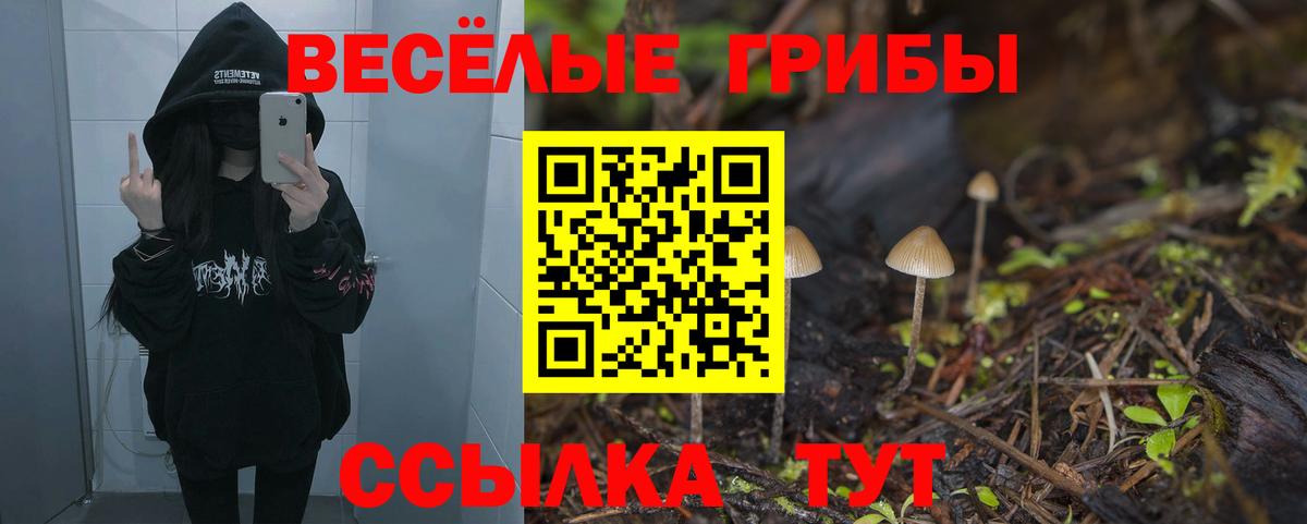 Великий Новгород  купить  цена  Вход с VPN  Галлюциногенные грибы Magic Shrooms  Галлюциногенные грибы Psilocybe 